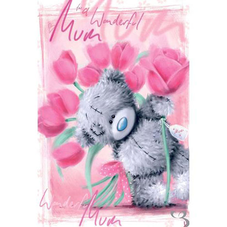 Wonderful Mum Softly Drawn Me to You Bear Mothers Day Card £2.40